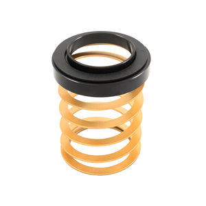 Fortune Auto Helper Springs Low Rate